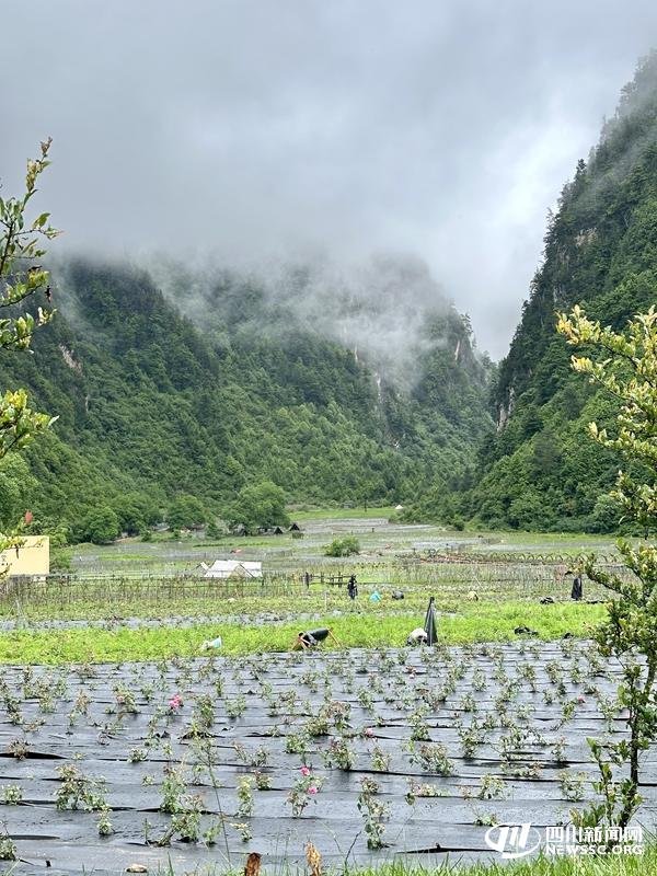 信捷策路 大渡河峡谷之畔的“世外桃源” | 万千气象看四川