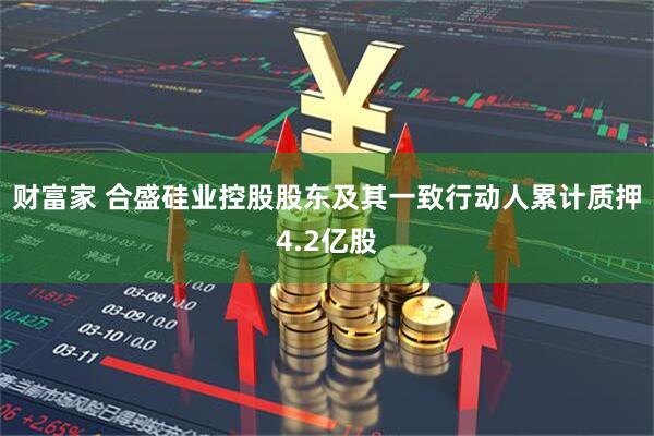 财富家 合盛硅业控股股东及其一致行动人累计质押4.2亿股