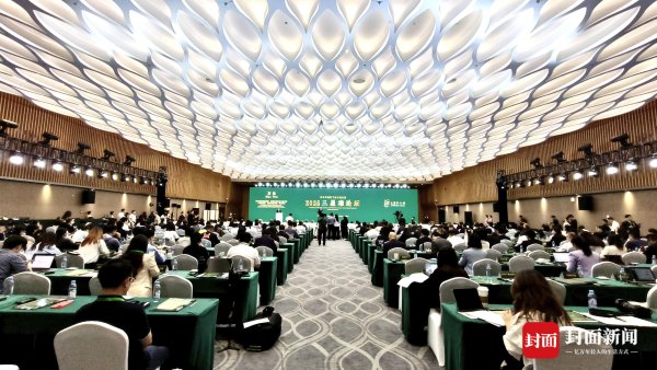 御龙优配 2025三星堆论坛在四川德阳启幕 同步揭晓最新研究成果与课题