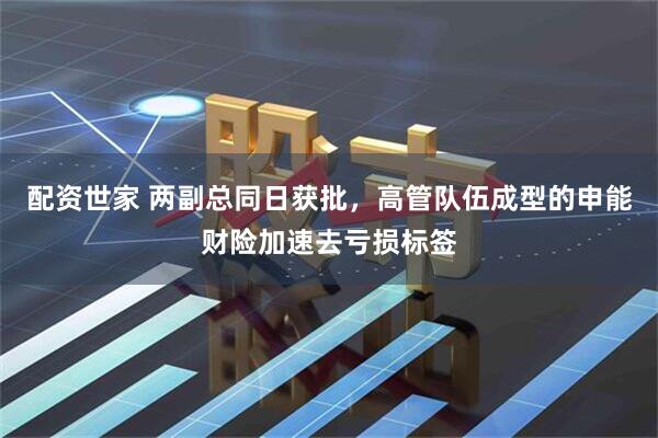 配资世家 两副总同日获批，高管队伍成型的申能财险加速去亏损标签