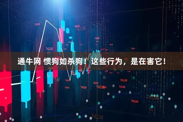 通牛网 惯狗如杀狗！这些行为，是在害它！