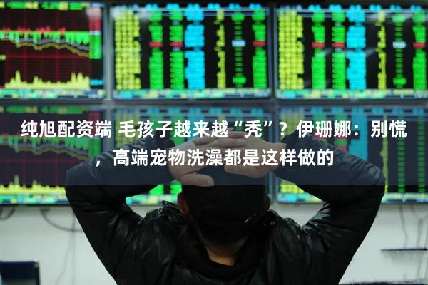 纯旭配资端 毛孩子越来越“秃”？伊珊娜：别慌，高端宠物洗澡都是这样做的