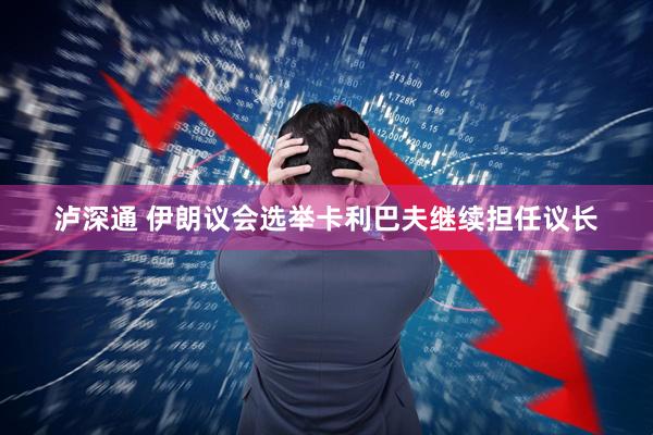 泸深通 伊朗议会选举卡利巴夫继续担任议长
